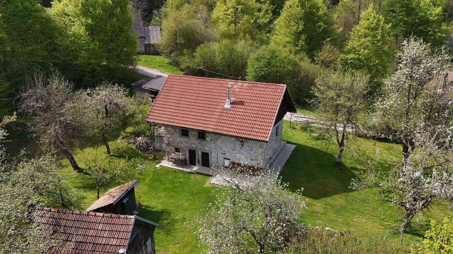 Apartma Olga - pogled iz zraka na kamnito hišo sredi narave