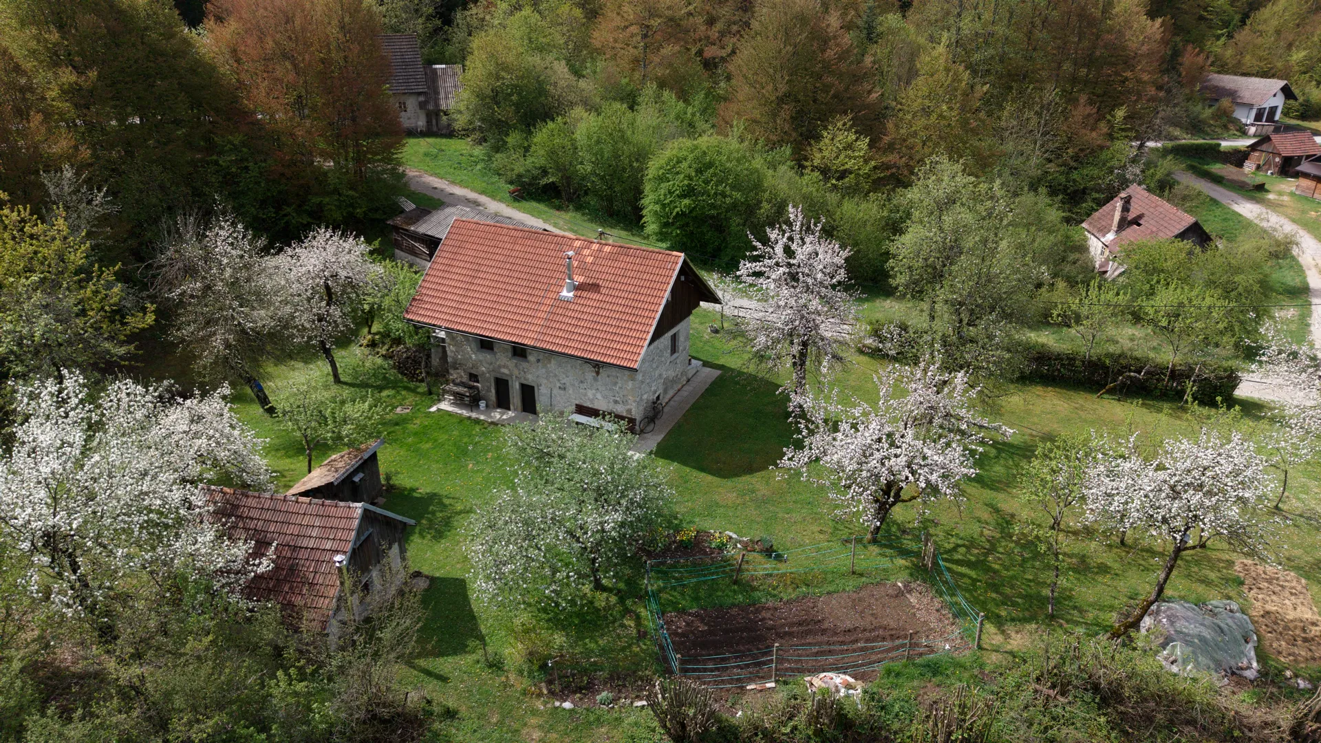 Apartma Olga - pogled iz zraka na kamnito hišo sredi narave